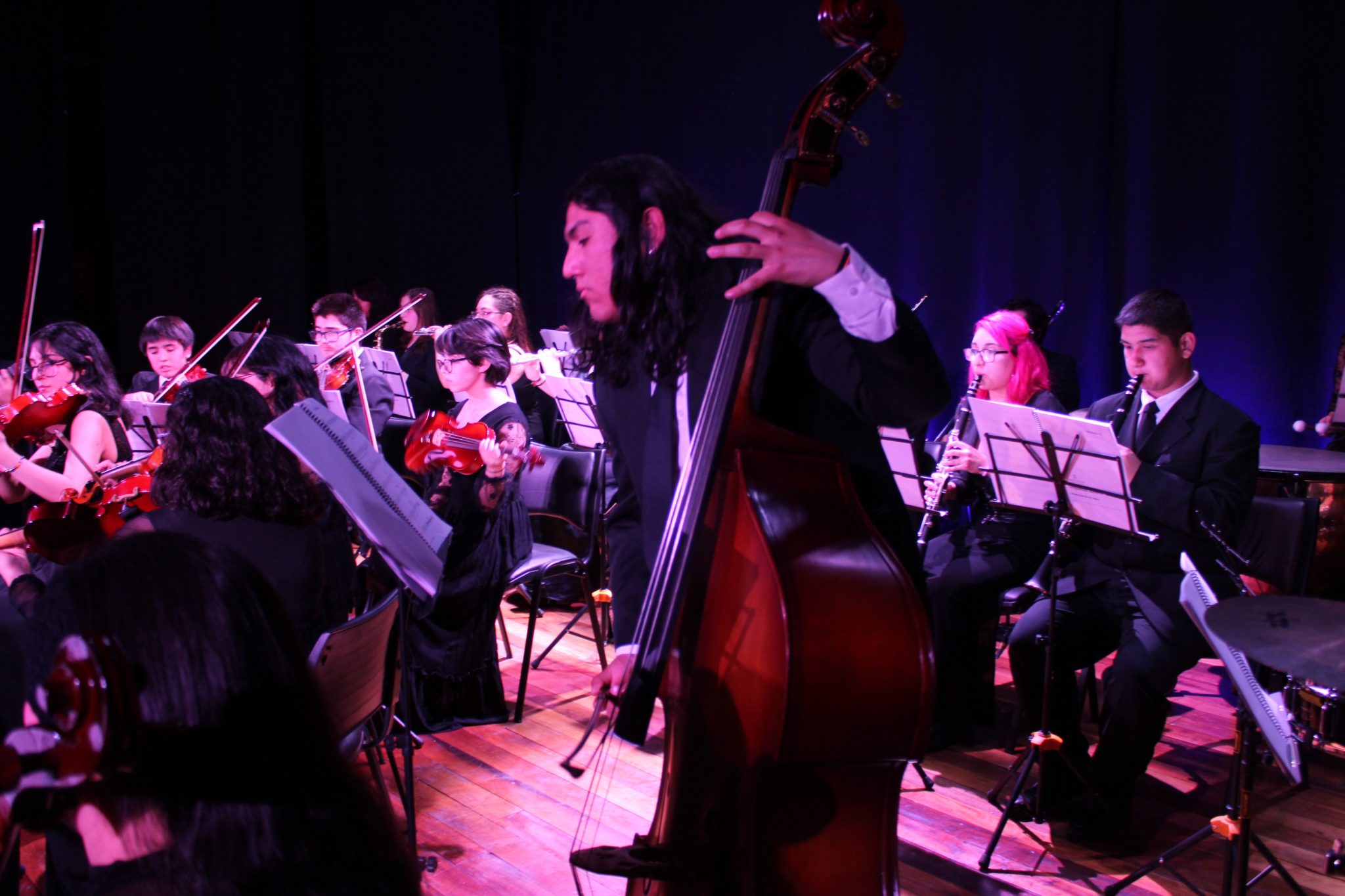 Orquesta Juvenil De La Universidad De Los Lagos Rendir Homenaje Al