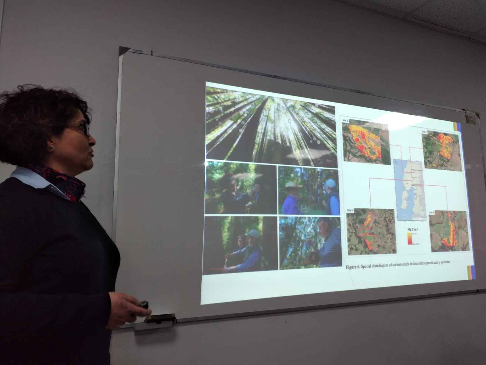 La coordinadora Viviana Bustos.