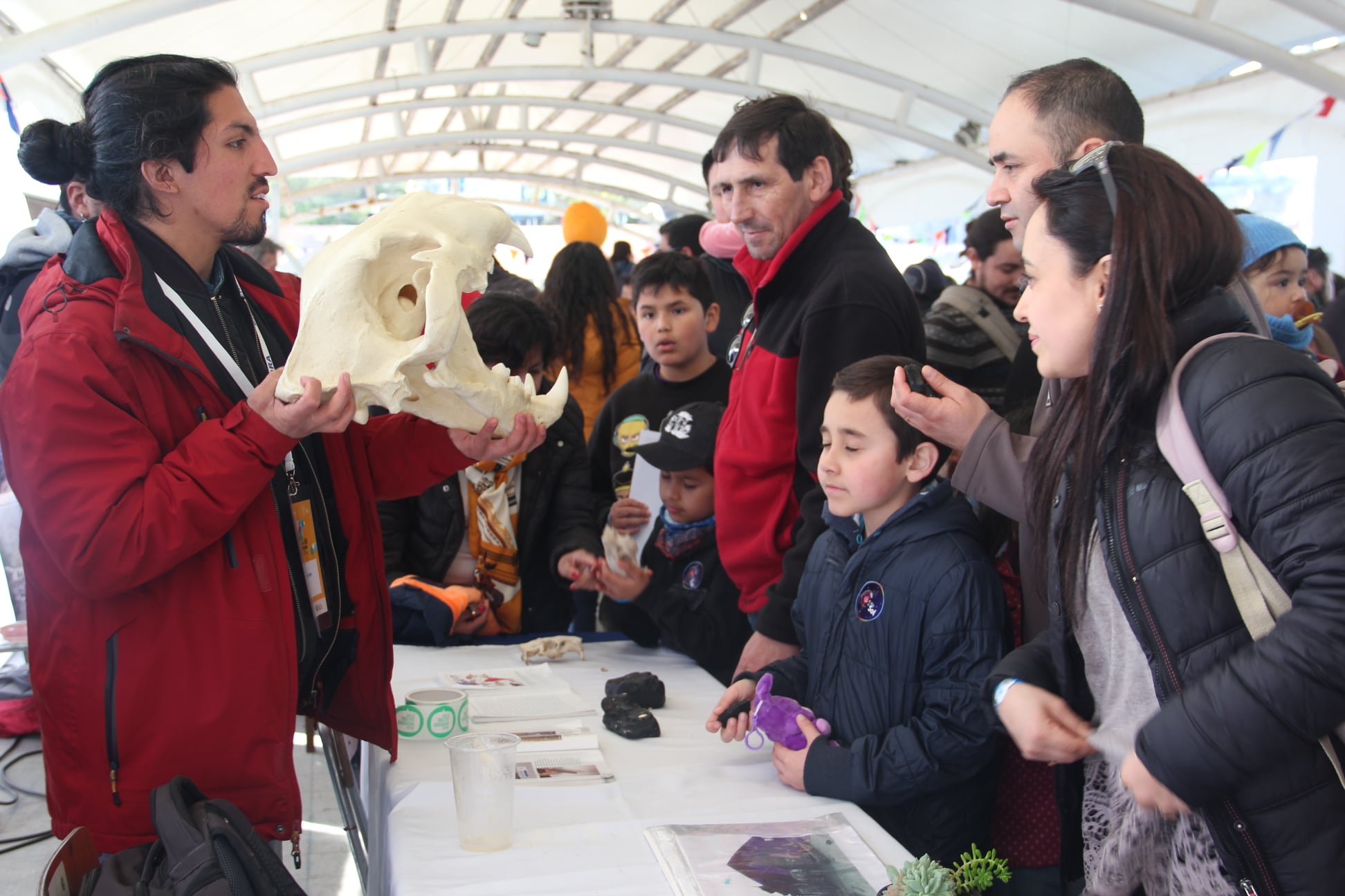 FECI Los Lagos archivo 2019